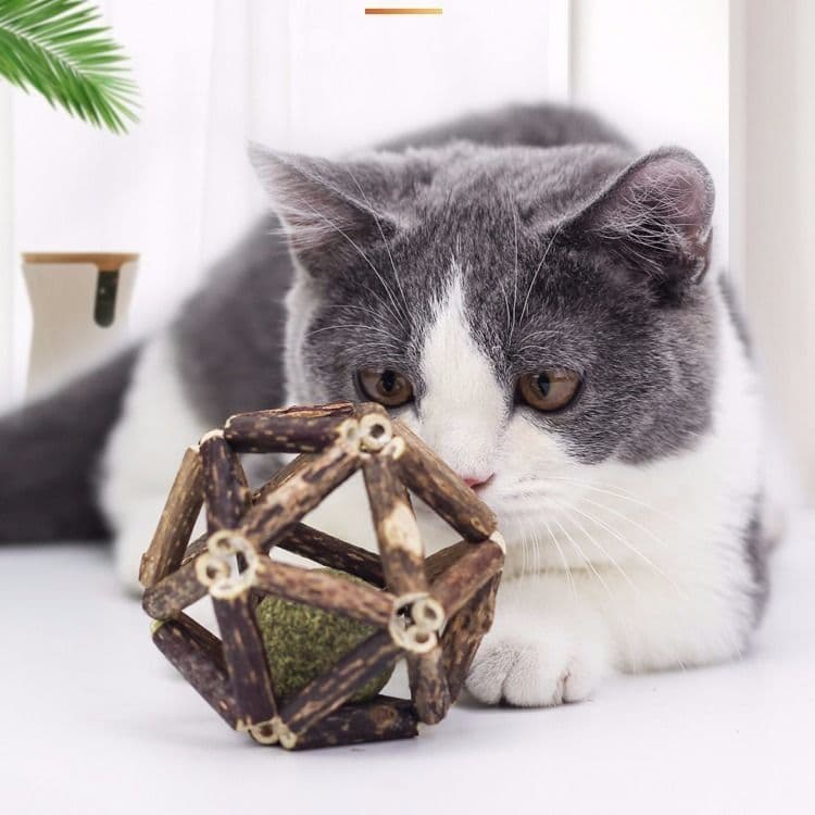 猫グッズ 木天蓼配合多面体歯磨き玩具ボール