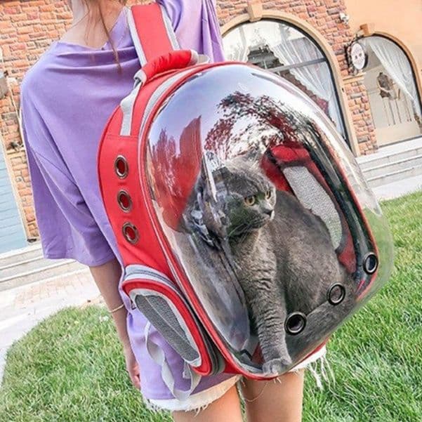 猫グッズ 防災グッズ 透明窓付き猫用避難キャリーリュック