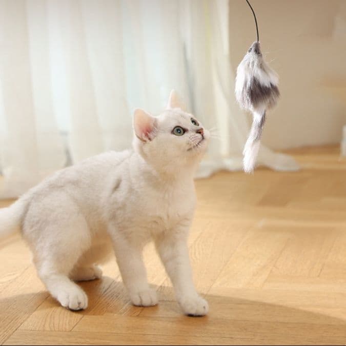 猫グッズ 運動不足解消グッズ 夢中になる猫用知能玉 遊びながら運動促進