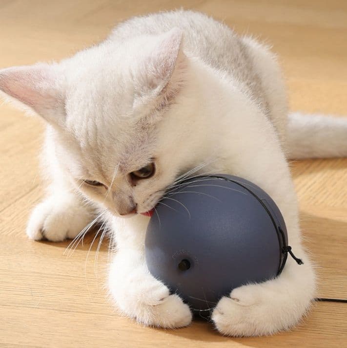 猫グッズ 運動不足解消グッズ 夢中になる猫用知能玉 遊びながら運動促進
