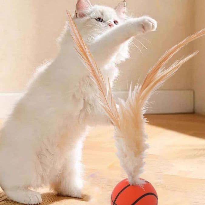猫グッズ 運動不足解消グッズ スポーツボール羽根じゃらし 三種セット