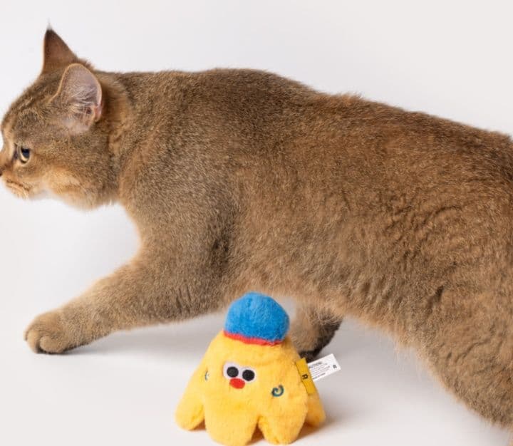 猫グッズ 運動不足解消グッズ ふわもじゃ遊びざかり棒