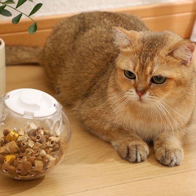 猫グッズ 運動不足解消グッズ ころころおやつ探検球 猫の知恵玩具
