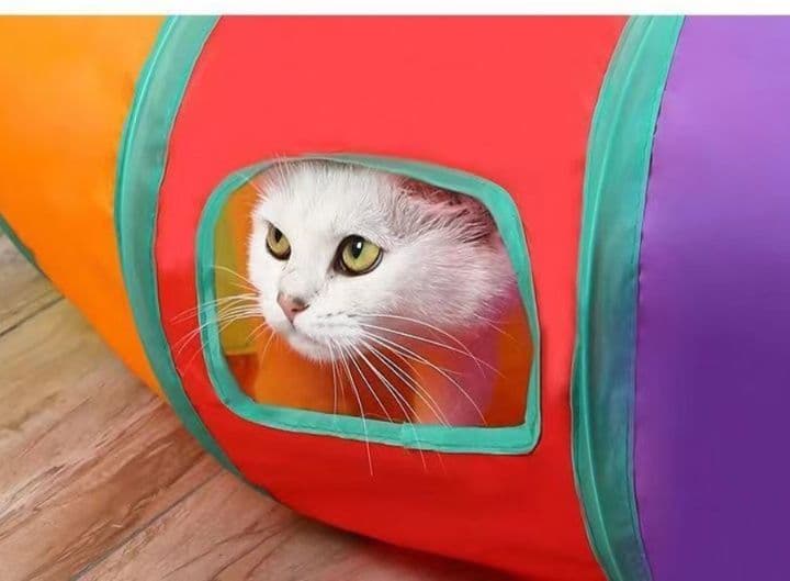 猫グッズ 運動不足解消グッズ にゃんこくぐりぬけトンネル