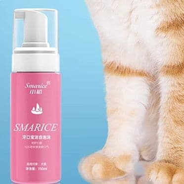 猫グッズ 歯磨きグッズ ふわもこ泡で歯ピカ 猫の口腔ケアフォーム