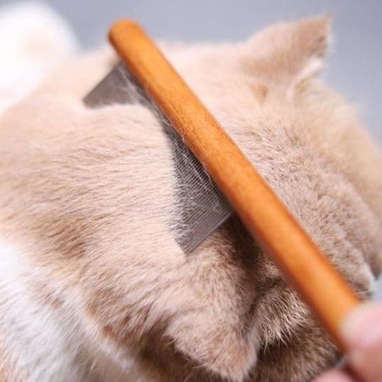猫グッズ 抜け毛対策グッズ ふわもふケア猫用抜け毛すっきりくし