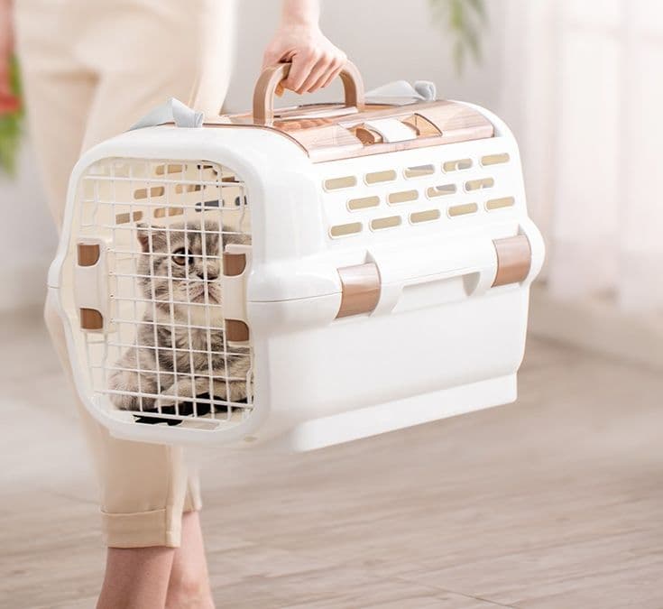 猫グッズ 防災グッズ 災害対応ペット避難キャリー
