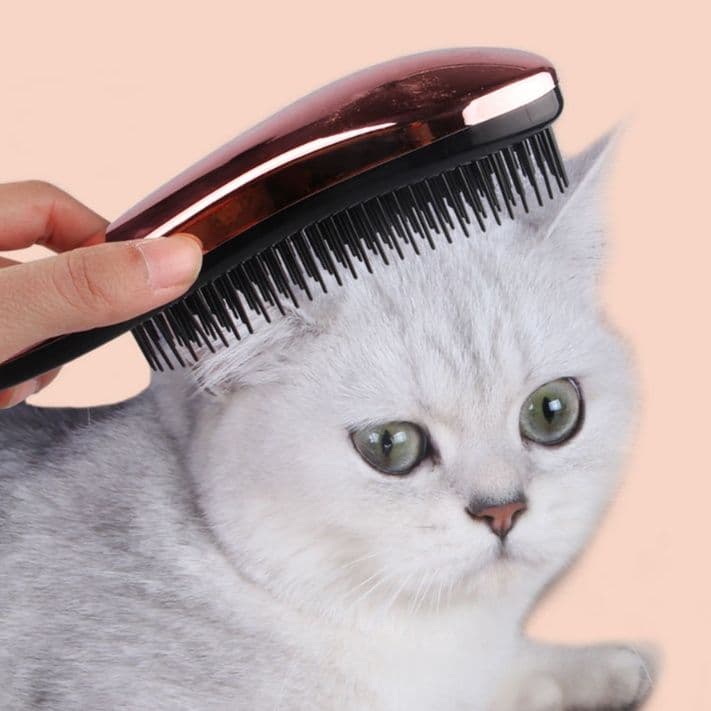 猫グッズ 抜け毛対策グッズ ふわもふ猫ちゃんマッサージブラシ