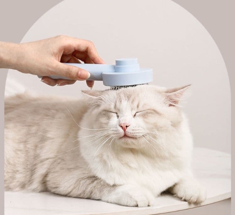 猫グッズ 抜け毛対策グッズ ふわもふ猫ちゃん専用 毛玉すっきりブラシ