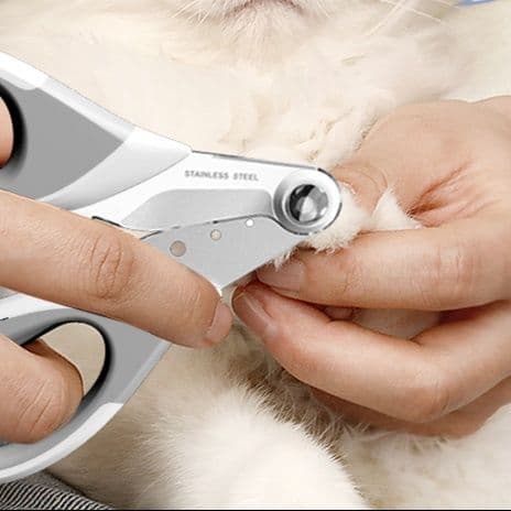 猫グッズ 精密猫爪切り 安心カット