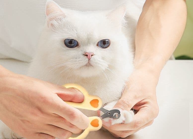 猫グッズ 爪切りグッズ 静音猫用爪切り 
