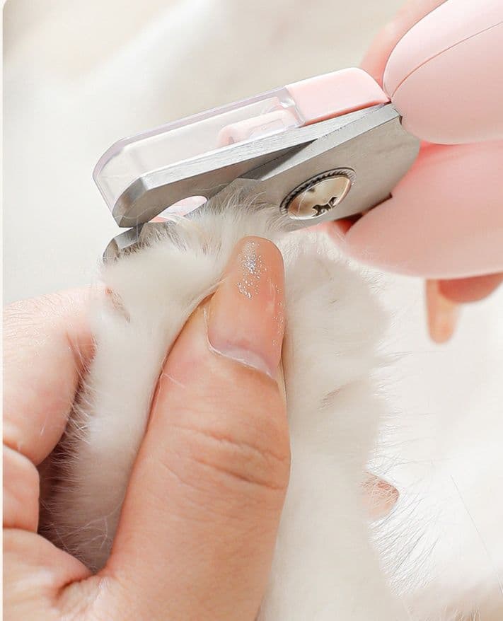 猫グッズ 爪切りグッズ 安全ガード付きふわっと爪切り