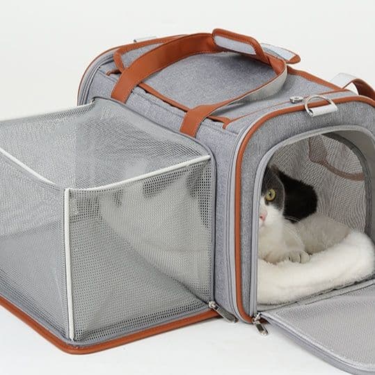 猫グッズ にゃんと安心！避難用ペットキャリー