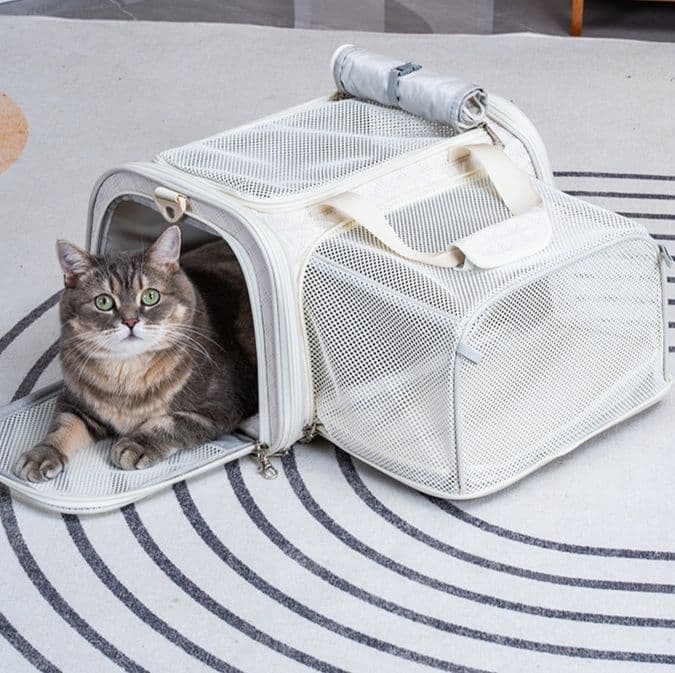 猫グッズ 猫ちゃん避難キャリーバッグ