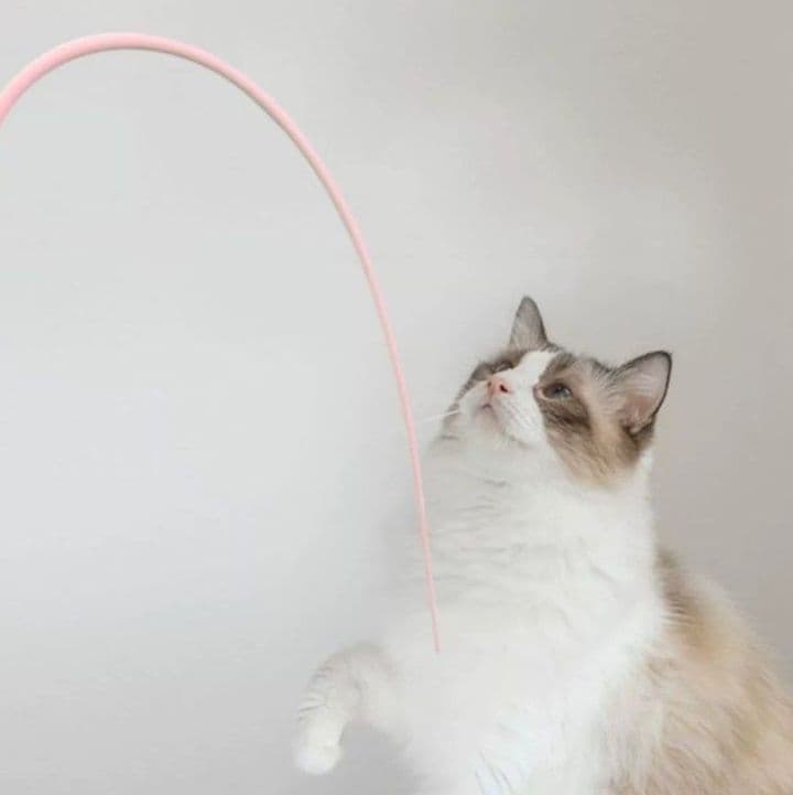 猫グッズ 猫じゃらし弾力ねずみ棒