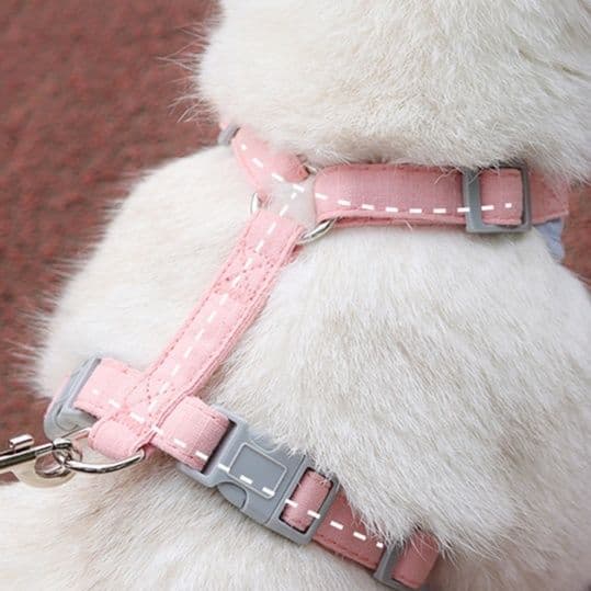猫グッズ 猫ちゃん安心防災ハーネス