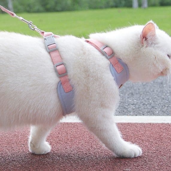 猫グッズ 猫ちゃん安心防災ハーネス