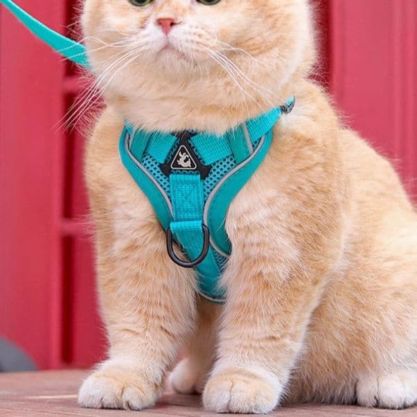 猫グッズ 猫用避難確保ハーネス