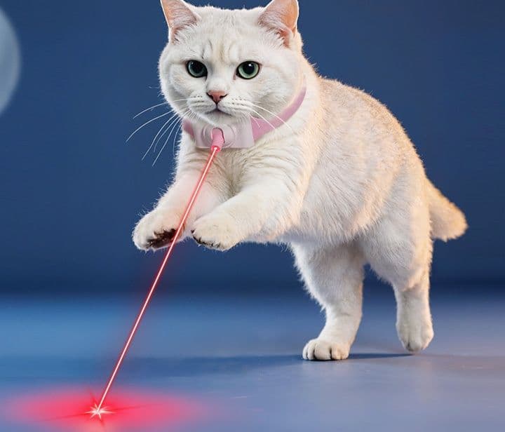 猫グッズ 猫用光線追跡首輪