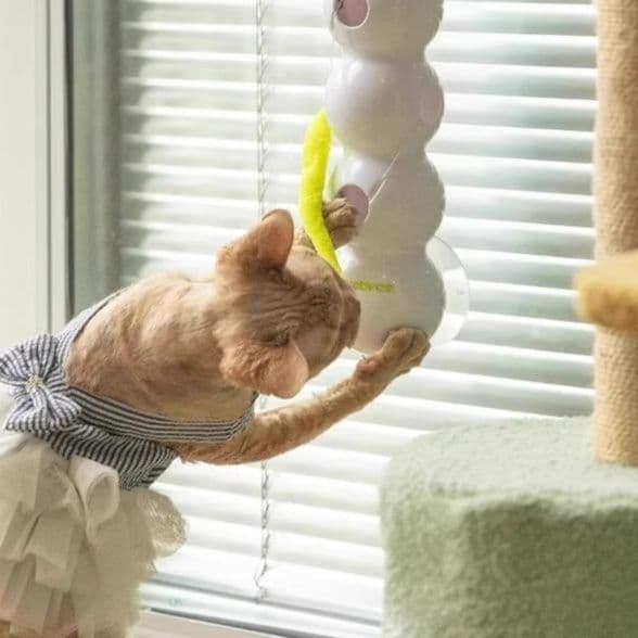 猫グッズ 光感芋虫ボール自動遊び機