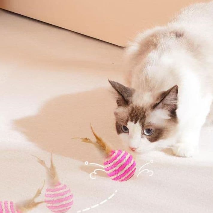 猫グッズ ふわもこ羽根ボール 猫の運動パートナー