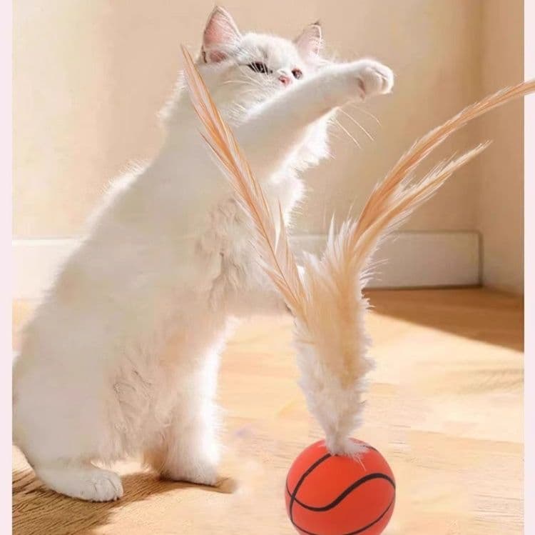 猫グッズ 羽根付きスポーツボール猫じゃらし