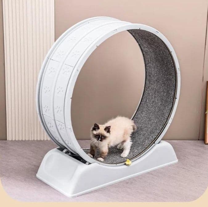猫グッズ 静音回転輪 猫ちゃん専用ランナー