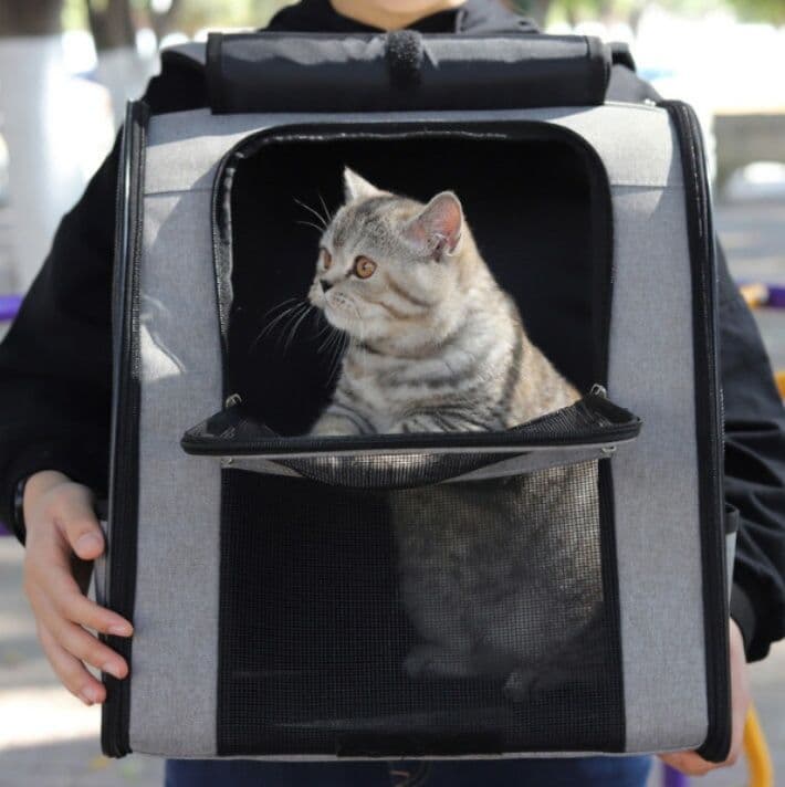 猫グッズ防災グッズ通気性抜群避難運搬鞄