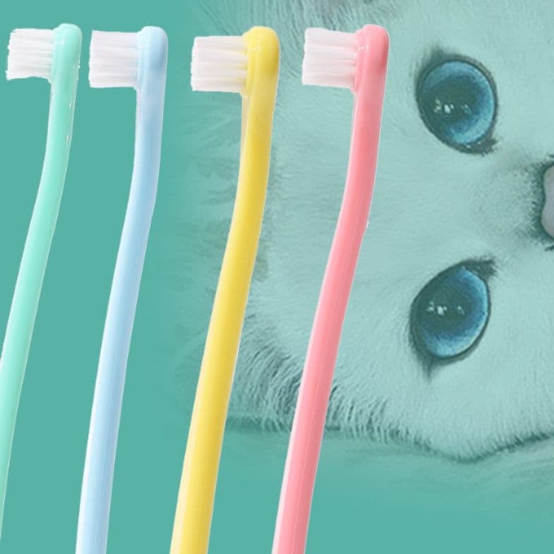 猫グッズ歯磨きグッズ愛猫用ブラシセット
