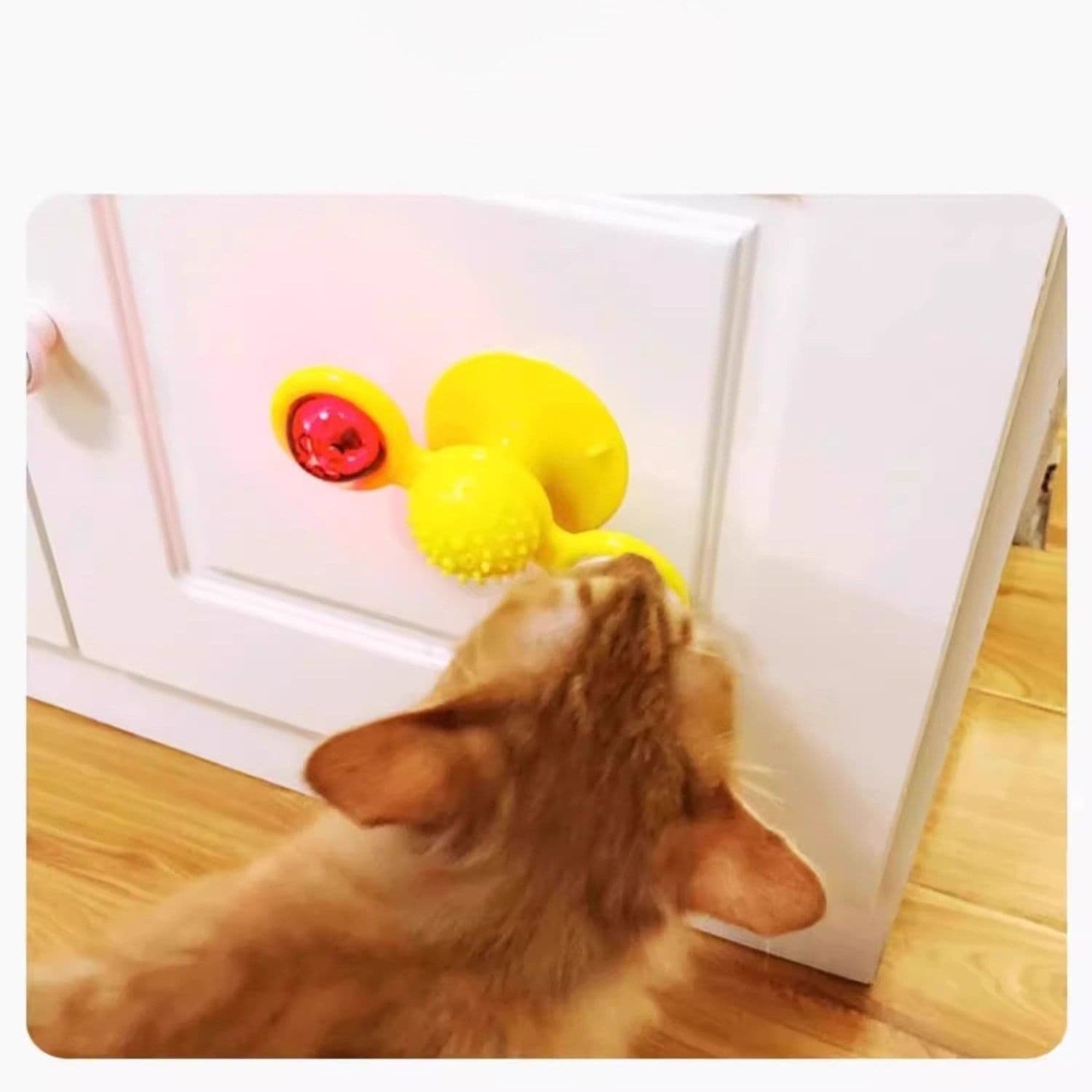 猫グッズ運動不足解消グッズ回転風車知育玩具