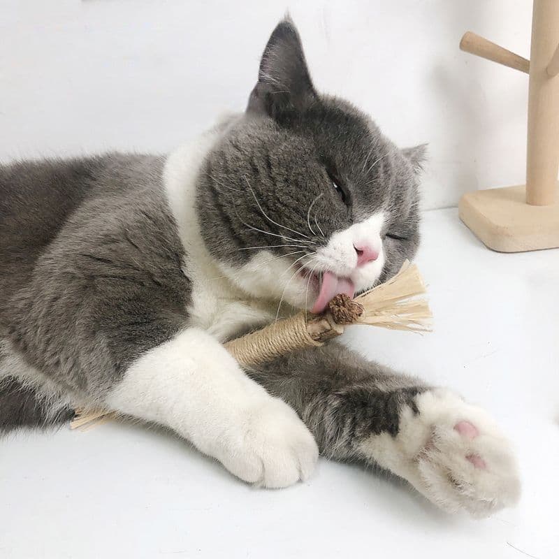 猫グッズ歯磨きグッズ天然素材の猫用またたび入り棒