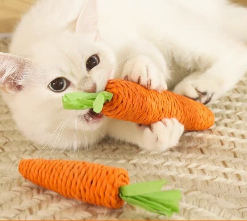 猫グッズ にんじん型噛む蹴る猫玩具