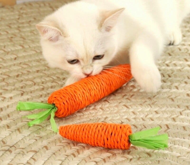 猫グッズ にんじん型噛む蹴る猫玩具