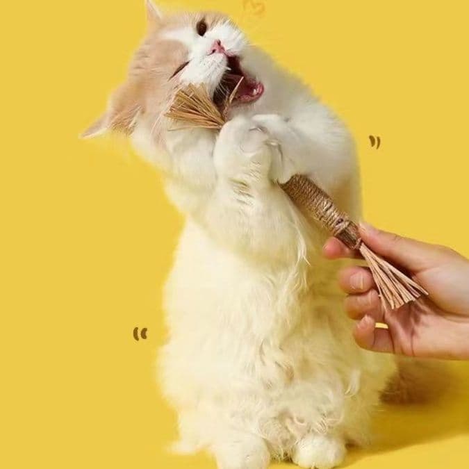 猫用天然素材の噛んで遊べる歯磨き棒