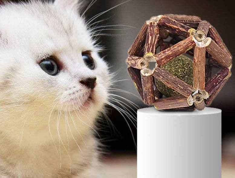 猫グッズ 木天蓼配合多面体歯磨き玩具ボール