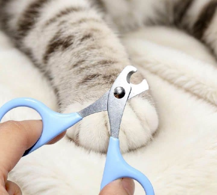 猫グッズ 愛猫用月牙刃指甲剪犬猫兼用爪切り