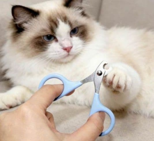 猫グッズ 愛猫用月牙刃指甲剪犬猫兼用爪切り