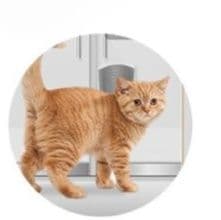 猫グッズ 猫ちゃん壁掛けセルフグルーミングブラシ