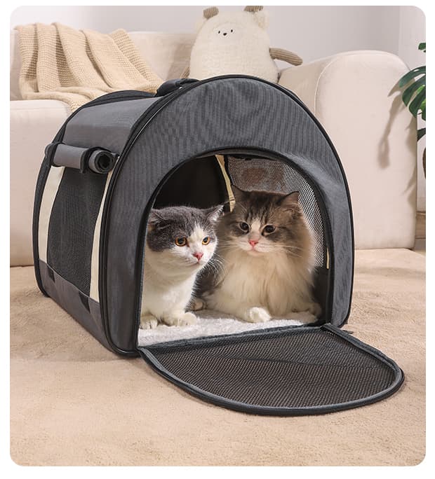 猫グッズ にゃんと安心！避難キャリー