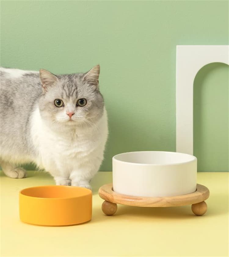 猫グッズ 防災対応 猫用首保護陶磁器餌椀 木製台座付き