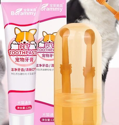 猫グッズ 歯磨きグッズ 猫グッズ わんにゃん歯ケアセット