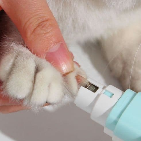 猫グッズ 抜け毛対策グッズ ふわもふ猫ちゃん快適ブラシ