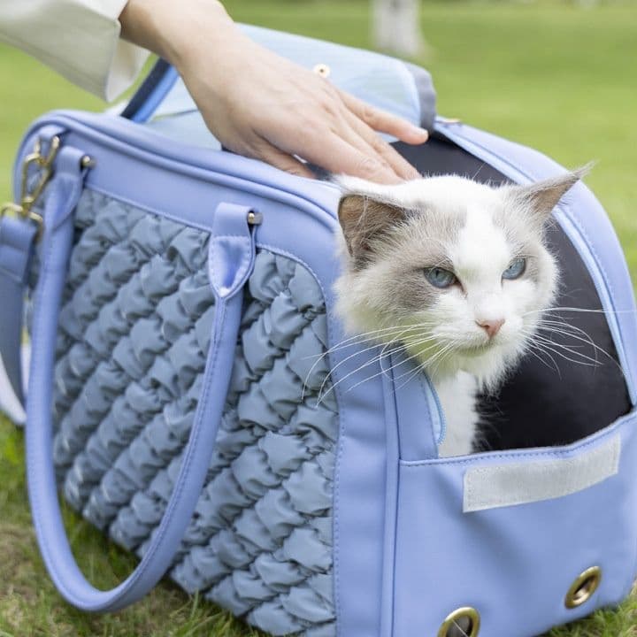 猫グッズ 防災グッズ ペット避難キャリーバッグ 安心おでかけ