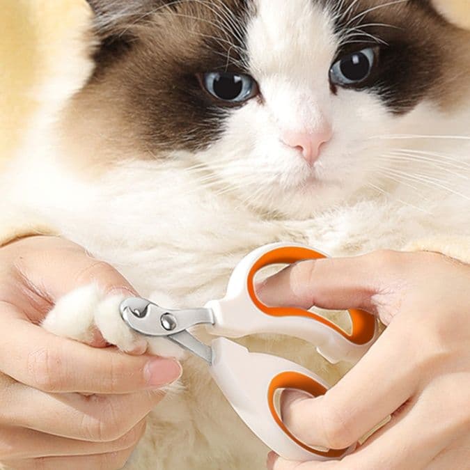 猫グッズ 安心ペット爪切りハサミ 猫専用