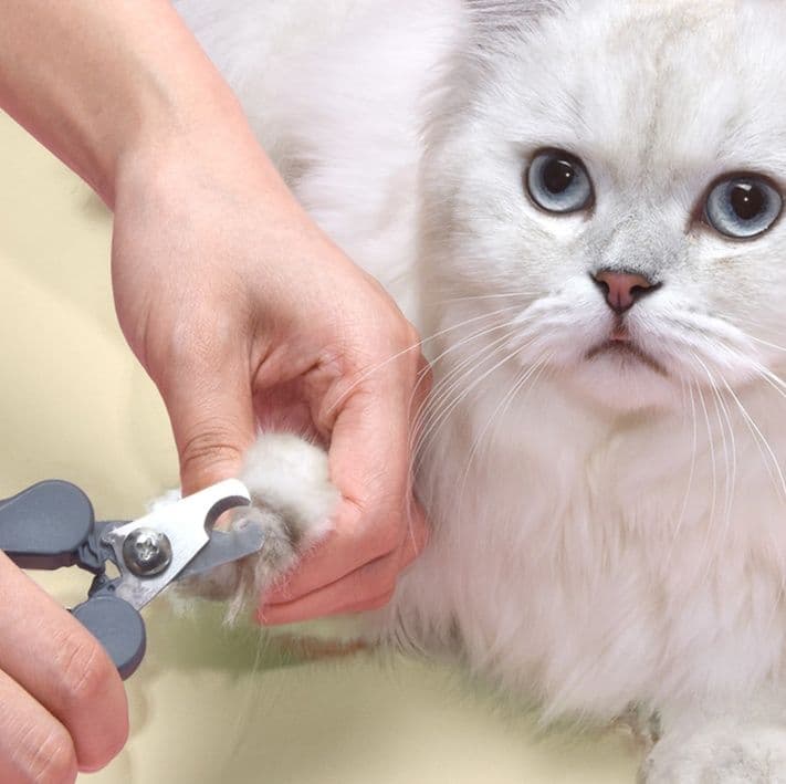 猫グッズ 愛猫のための安心爪切りクリッパー