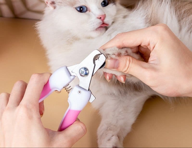 猫グッズ 爪切りグッズ 優しい切れ味ペット用爪切り