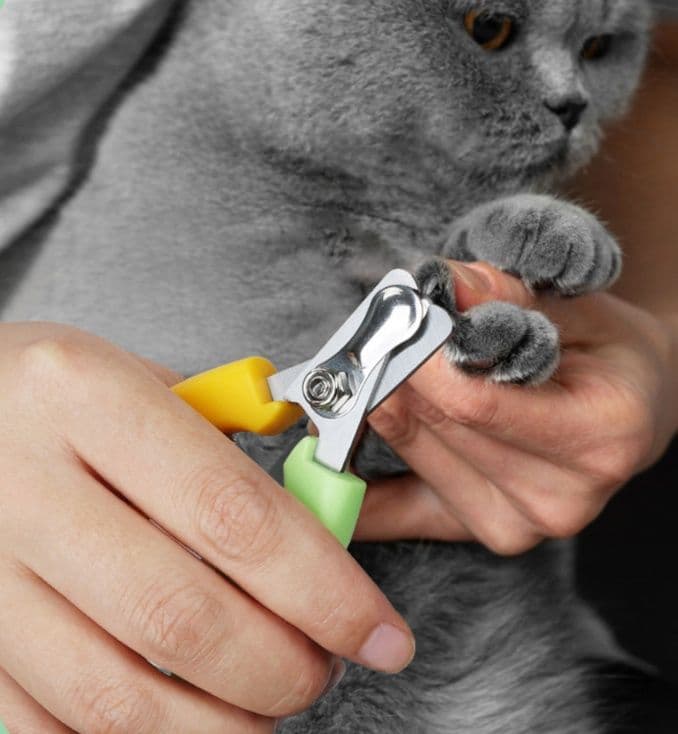 猫グッズ 爪切りグッズ 安心ペット爪切り月形刃