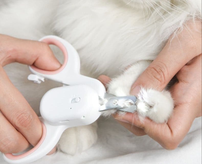 猫グッズ 爪切りグッズ 光る猫のお手入れはさみ安心爪切り
