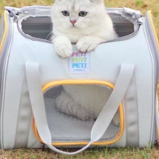 猫グッズ 猫と一緒に避難できる安心キャリー