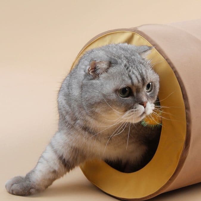 猫グッズ もぐりん猫トンネル 冒険迷路